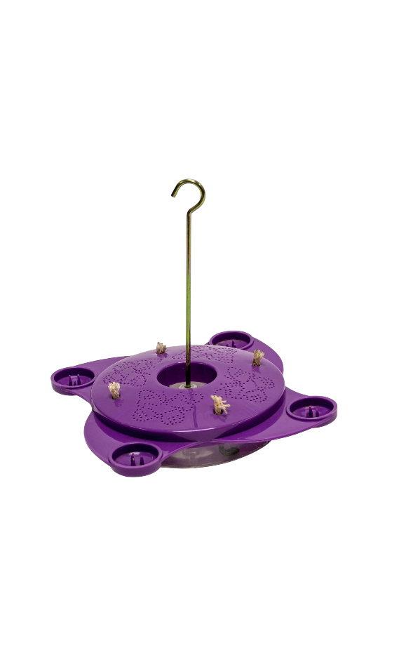 Purple Butterfly Feeder
